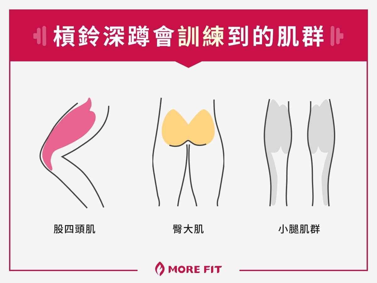槓鈴深蹲會訓練到的肌群