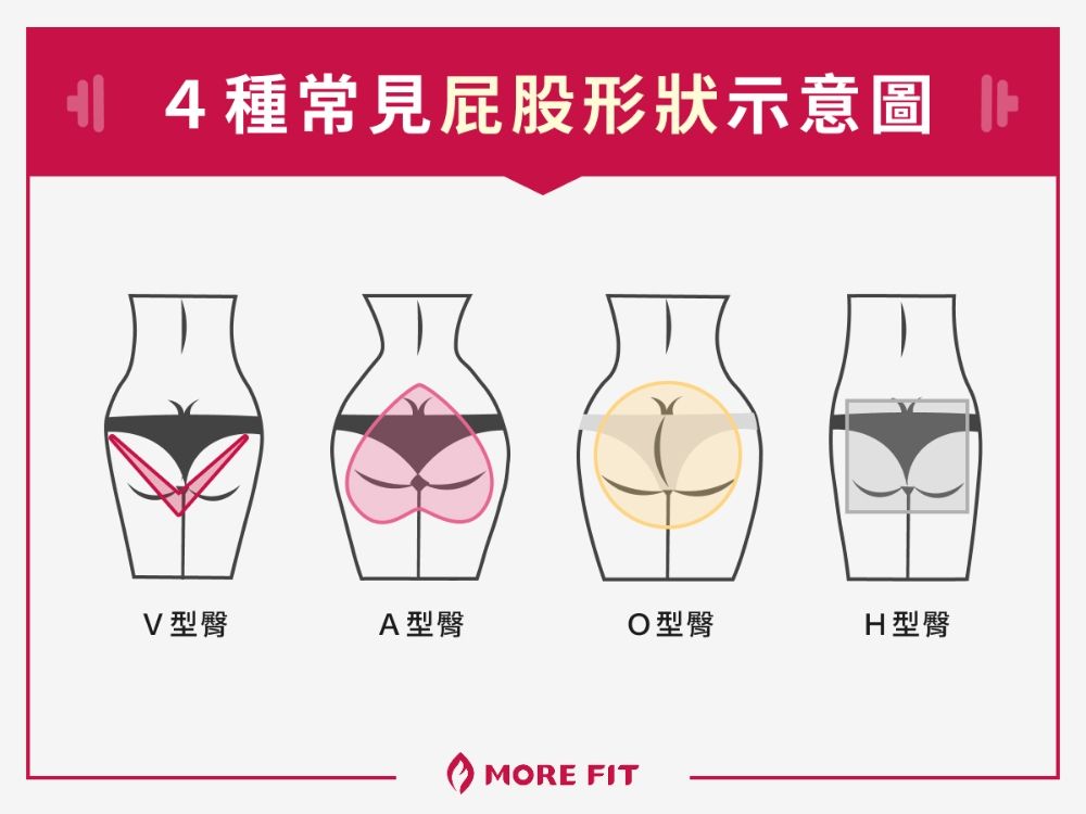 4 種常見屁股形狀示意圖